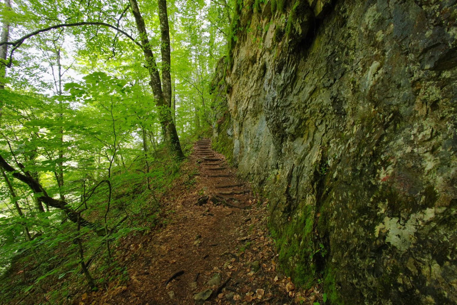 gorge enipeas 1536x1024 1