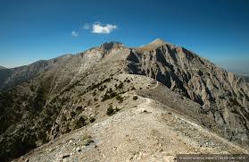 images 9